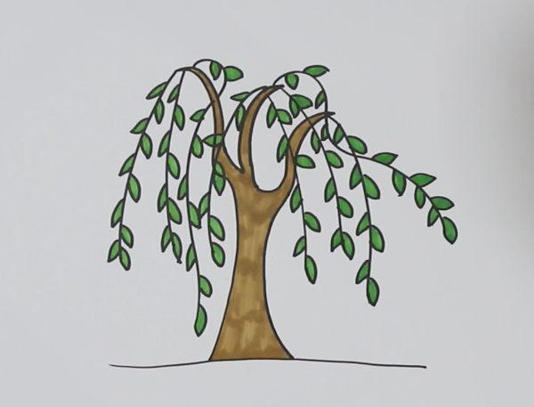 简笔画柳树的简单画法图片